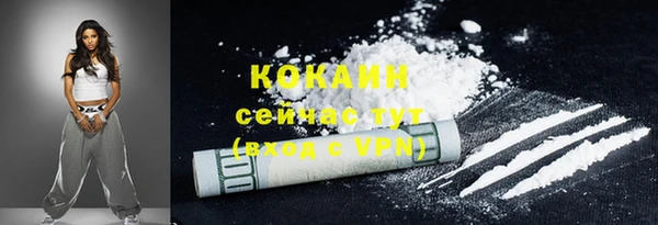 спиды Богданович
