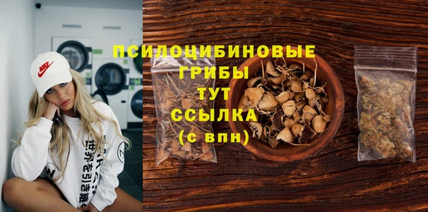 спиды Богданович