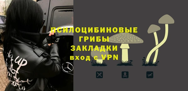 ешки Богородицк