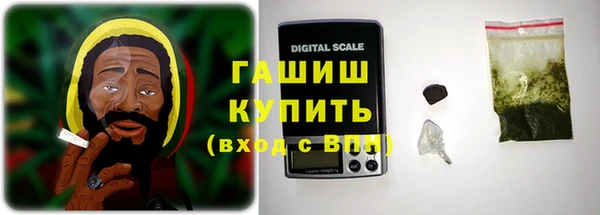 спиды Богданович