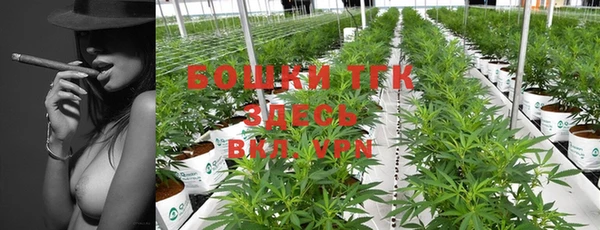 спиды Богданович