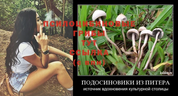 ешки Богородицк
