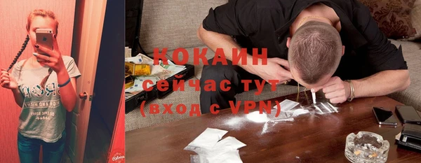 спиды Богданович