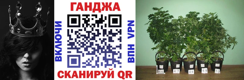 Марихуана AK-47  Ачхой-Мартан 